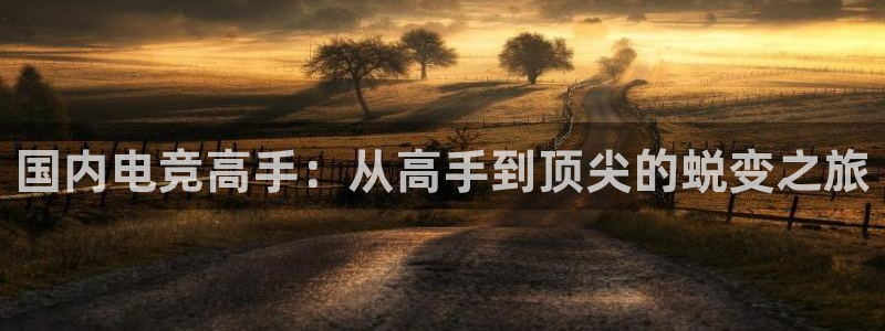 小艾电竞app官网：国内电竞高手：从高手到顶尖的蜕变之旅