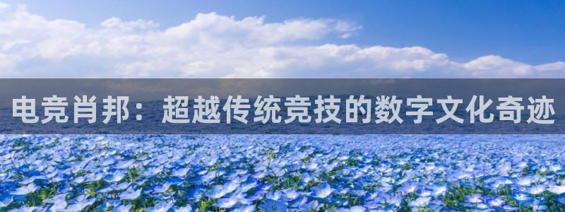 小艾电竞官网网址：电竞肖邦：超越传统竞技的数字文化奇迹