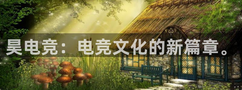 小艾电竞app官网：昊电竞：电竞文化的新篇章。