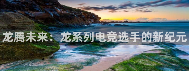 小艾电竞官网网址：龙腾未来：龙系列电竞选手的新纪元