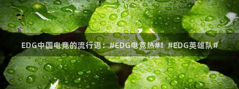 小艾电竞场馆平台：EDG中国电竞的流行语：#EDG电竞热#！#EDG英雄队#