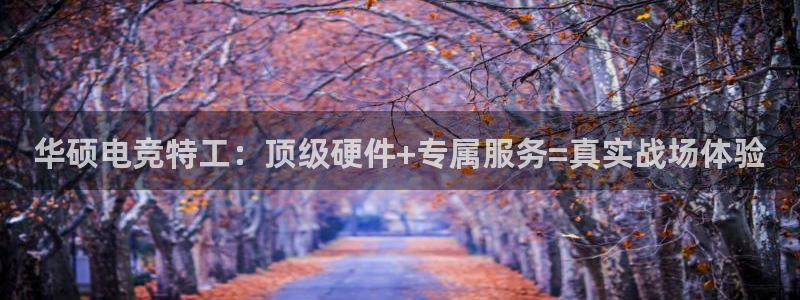 小艾电竞官网：华硕电竞特工：顶级硬件+专属服务=真实战场体验