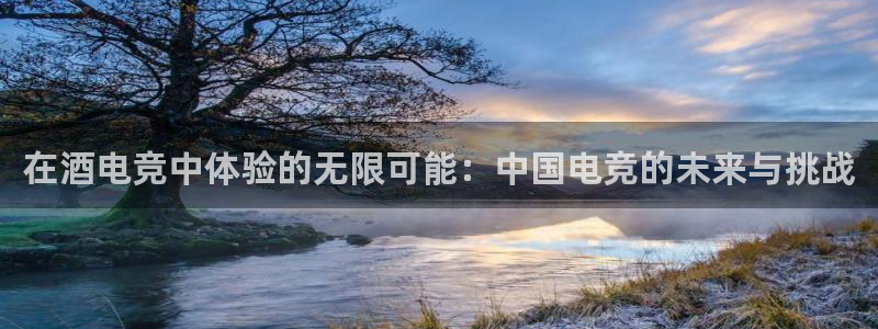 小艾电竞平台：在酒电竞中体验的无限可能：中国电竞的未来与挑战