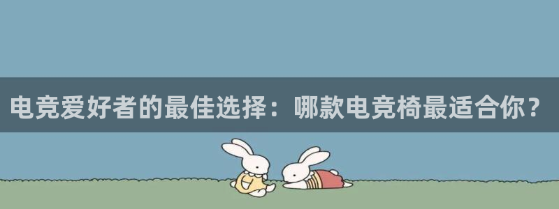 小艾电竞亚洲官网：电竞爱好者的最佳选择：哪款电竞椅最适合你？