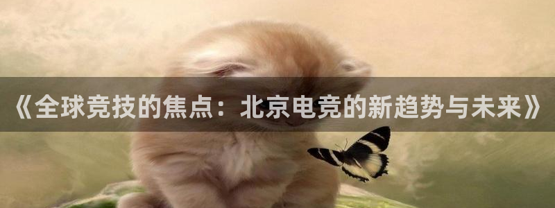 小艾电竞官网入口登录：《全球竞技的焦点：北京电竞的新趋势与未来》